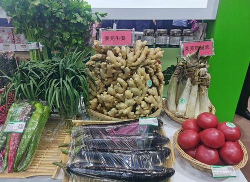濟(jì)南農(nóng)產(chǎn)品驚艷亮相綠博會，綠色品牌彰顯農(nóng)業(yè)新活力
