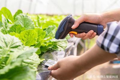 農產品溯源解決方案 從田間到餐桌的信任橋梁