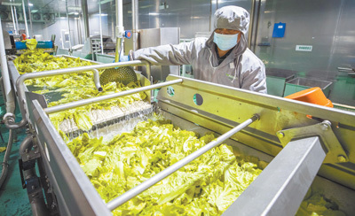 綠色消費風起，農產品邁向低碳健康新時代