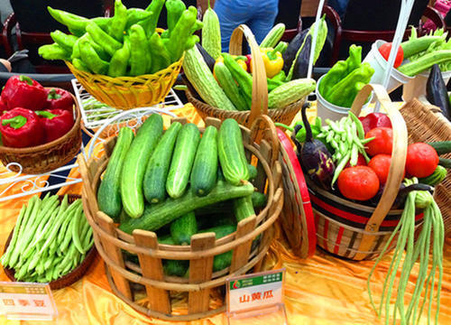 生鮮農(nóng)產(chǎn)品供應(yīng)商服務(wù)規(guī)范體系認(rèn)證證書(shū)辦理公司